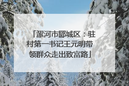 漯河市郾城区：驻村第一书记王元明带领群众走出致富路
